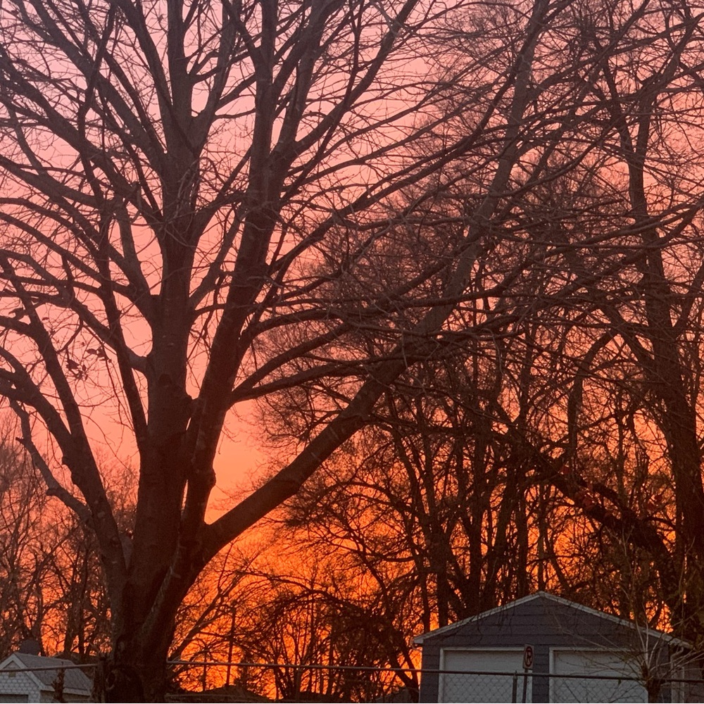 Meet your Posher, Sicily